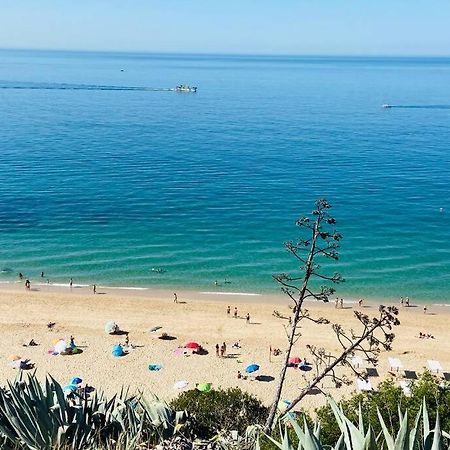 세심브라 Estudio Vista Mar Com A/C E Acesso Privado A Praia 아파트 외부 사진