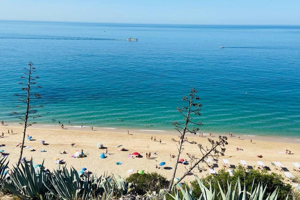 세심브라 Estudio Vista Mar Com A/C E Acesso Privado A Praia 아파트 외부 사진